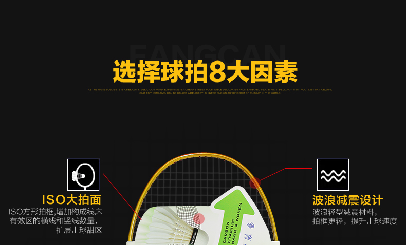 BR124 训练羽毛球拍 - detail 7/20