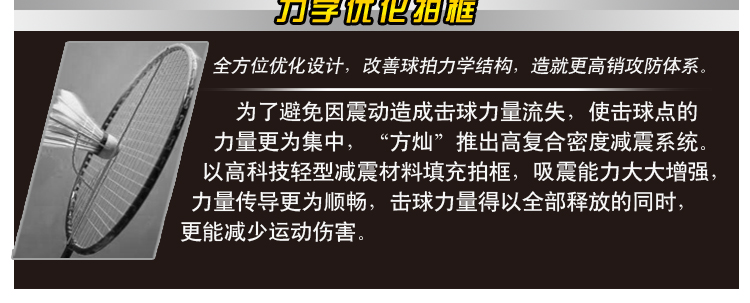 NANO RAY 9900 全碳素羽毛球拍 - detail 8/26