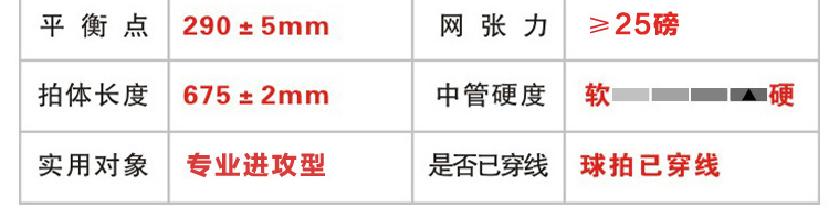 VOLTE A911 全碳素羽毛球拍 - detail 2/26