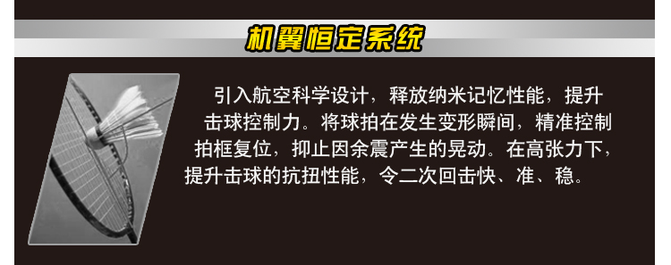 VOLTE A911 全碳素羽毛球拍 - detail 15/26