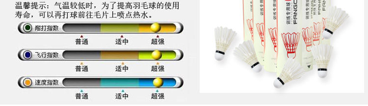 FCS-02 精选鸭毛训练羽毛球 - detail 5/28