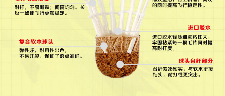 FCS-02 精选鸭毛训练羽毛球 - detail 8/28