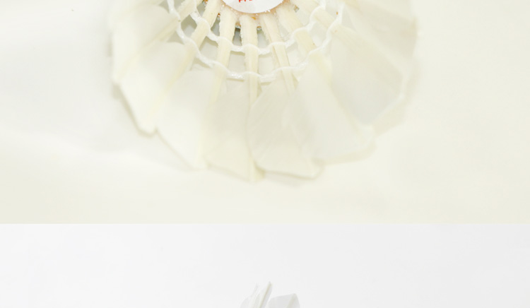 FCS-02 精选鸭毛训练羽毛球 - detail 27/28